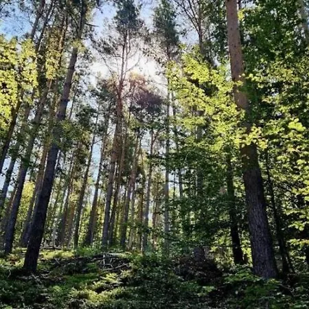 Corps De Ferme Traditionnel Casa vacanze Lembach