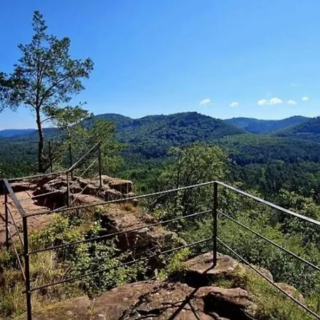 Corps De Ferme Traditionnel * Lembach