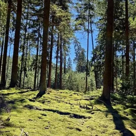 Corps De Ferme Traditionnel *