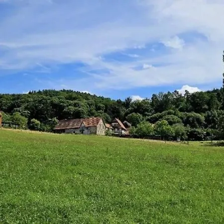 Corps De Ferme Traditionnel * Lembach