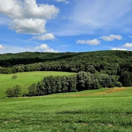 Corps De Ferme Traditionnel * Lembach