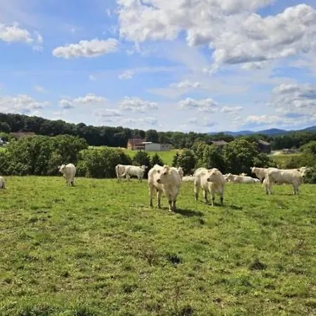 Corps De Ferme Traditionnel Semesterbostad Lembach