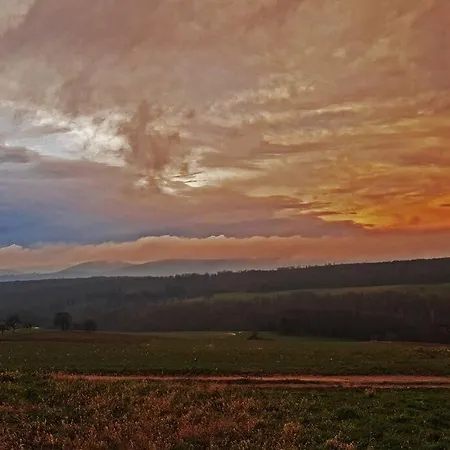 Corps De Ferme Traditionnel Lembach