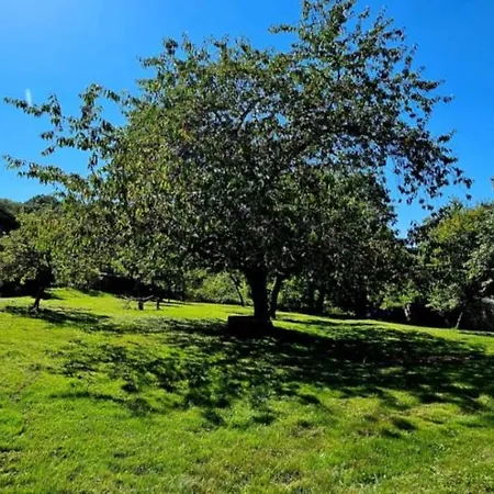 Corps De Ferme Traditionnel